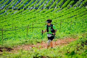 BIB: 2187
                            <button type="button" onclick="openModal(19163590)" class="btn btn-primary btn-sm float-right btn-popup" data-toggle="modal" data-target=".modal-high-quality">
                        <i class="fas fa-shopping-cart"></i> Add to Cart
                    </button>
                                            <button type="button" onclick="isThisMe(19163590, true)" class="btn btn-success btn-sm float-right btn-popup btn-isme hidden" data-toggle="tooltip" data-placement="bottom" title="นี่คือรูปของคุณใช่ไหม คลิกที่นี่เพื่อเอาเข้าอัลบั้ม">
                        <i class="fas fa-plus"></i> Add to album
                    </button>
                    <button type="button" onclick="isThisMe(19163590, false)" class="btn btn-warning btn-sm float-right btn-popup btn-isnotme hidden">
                        <i class="fas fa-ban"></i> Remove from album
                    </button>